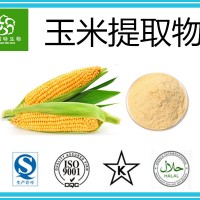玉米提取物 10:1规格 高质量玉米粉 专业提取