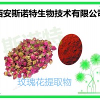 现货供应 玫瑰花提取物 10:1 可定制