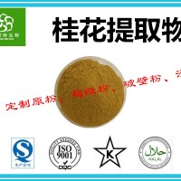 桂花提取物 桂花提取物粉厂家 规格可定制 厂家批发