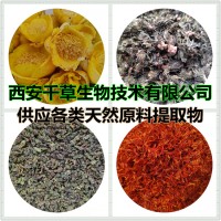 丰花草提取物粉丰花草浓缩汁粉丰花草浸膏粉