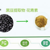 黑豆粉 批发供应 脱水黑豆粉 调味饮品 量大从优 1kg起订