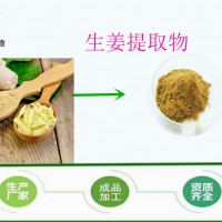 食品级 生姜提取物 姜茶原料 云南小黄姜提取物 批发厂家