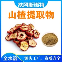 山楂提取物  现货10吨  山楂粉 斯诺特