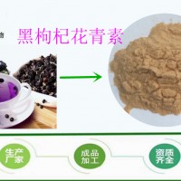 厂家 黑枸杞提取物 花青素25%  现货包邮