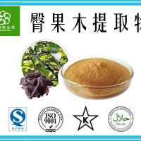 臀果木提取物 臀果木粉 10:1比例可定制 生产厂家批发