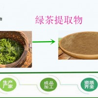 EGCG 60%  表没食子儿茶素 没食子酸酯 欢迎咨询