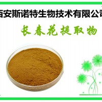 长春花提取物-长春花粉 10：1 生产厂家 包邮