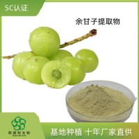 余甘子提取物 余甘子粉 SC认证 可定制