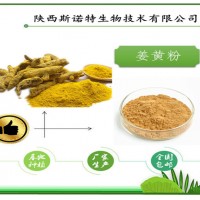 姜黄提取物 姜黄浓缩粉 斯诺特生物集团 大厂家质量稳定