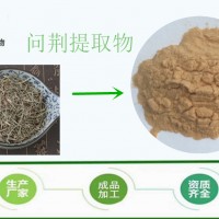 问荆提取物10:1 节节草提取物 全水溶 厂家现货包邮