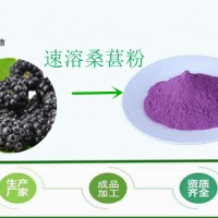 桑葚粉 速溶 口味自然 固体饮料原料散装 源头厂家 价格低廉