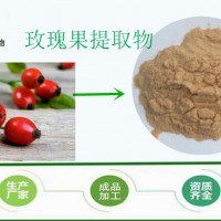 玫瑰果提取物 30:1水溶玫瑰果粉 源厂货源 价格