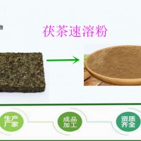 茯茶提取物 斯诺特 源头厂家 植物提取物 现货