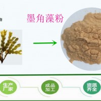 墨角藻粉 99% 提取物 萃取原料 现货包邮直销