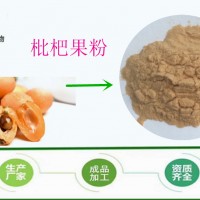 枇杷粉 速溶果粉 浓缩汁粉 源头厂家斯诺特 资质齐全