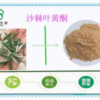 长期供应 沙棘黄酮 10% 沙棘提取物 醋柳粉 现货包邮