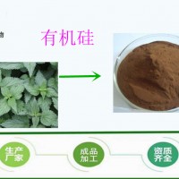 荨麻提取物 硅3% 长期现货  优势产品