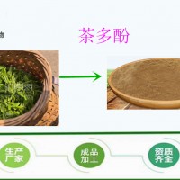 供应食品级 茶多酚 98%  绿茶提取物 量大从优 源头厂家