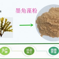 墨角藻提取物 10:1标准比例  墨角藻提取粉