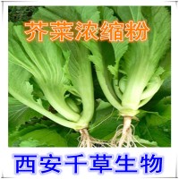 水溶性芥菜天然提取物芥菜浓缩粉专业定制植物浓缩浸膏