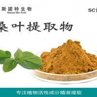 桑叶提取物 桑叶粉 食品级原料粉