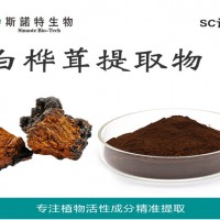 白桦茸提取物 白桦茸粉 白桦茸多糖