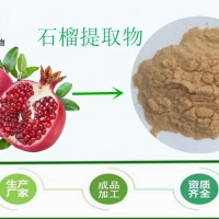 石榴果粉 天然石榴提取物 厂家现货直销 食品级饮料添加剂