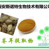 苍耳子提取物 苍耳多糖 苍耳子粉 斯诺特生物