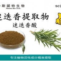 迷迭香酸10% 迷迭香提取物 植物萃取厂家