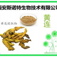 盐酸黄连素 黄连提取物 黄连粉 原料提取