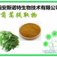 茼蒿提取物  茼蒿原料提取 斯诺特生物 发货快