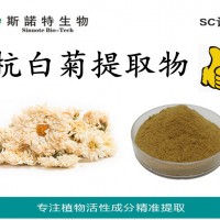 杭白菊提取物 菊花提取物 速溶杭白菊粉