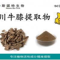 川牛膝提取物10:1 厂家现货牛膝提取物 怀牛膝粉