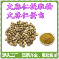 火麻仁提取物 功能食品原料  火麻仁蛋白