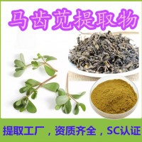 马齿苋提取物 全水溶注重品质