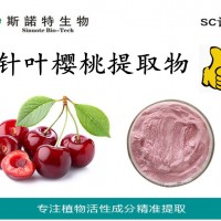 针叶樱桃提取物VC17% 针叶樱桃果粉