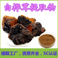 白桦茸提取物 全水溶注重品质