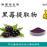 黑莓提取物 黑莓粉 黑莓花青素25%