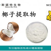 椰子提取物 椰子浓缩粉 椰子汁粉