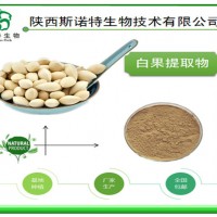 白果提取物 银杏果粉 速溶浓缩 厂家现货 量大批发