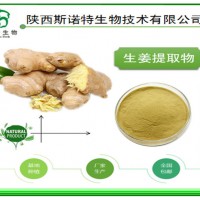 生姜提取物 浓缩生姜粉 姜辣素5% 斯诺特集团直销