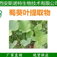 蜀葵叶提取物10：1 蜀葵叶粉 蜀葵叶流浸膏 厂家自销