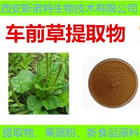 品质水溶车前草提取物20:1 天然萃取车前草皂甙 包邮