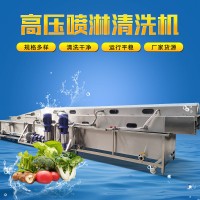 高压喷淋清洗机 全自动野菜清洗流水线 洗韭菜的机器
