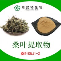 桑叶提取物 桑叶DNJ1-2 速溶桑叶粉