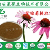 紫锥菊提取物,紫锥菊多酚4%,紫锥菊比例提取物,紫锥菊萃取物