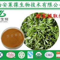 绿茶粉,绿茶提取物,20%茶多酚,40%茶氨酸,EGCG