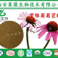 4%紫锥菊菊苣酸,紫锥菊提取物,紫锥菊浓缩粉,紫锥菊生粉