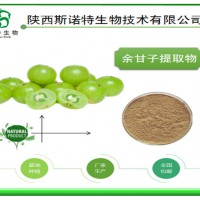 余甘子提取物 浓缩粉 全水溶 好品质好原料 斯诺特生物集团