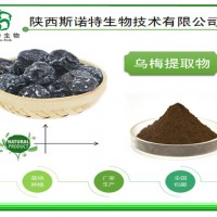 乌梅提取物 浓缩粉 水溶 酸梅粉常用原料 斯诺特集团 包邮